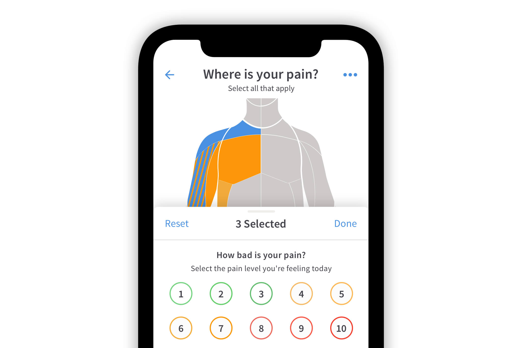 bodymap_pic-4